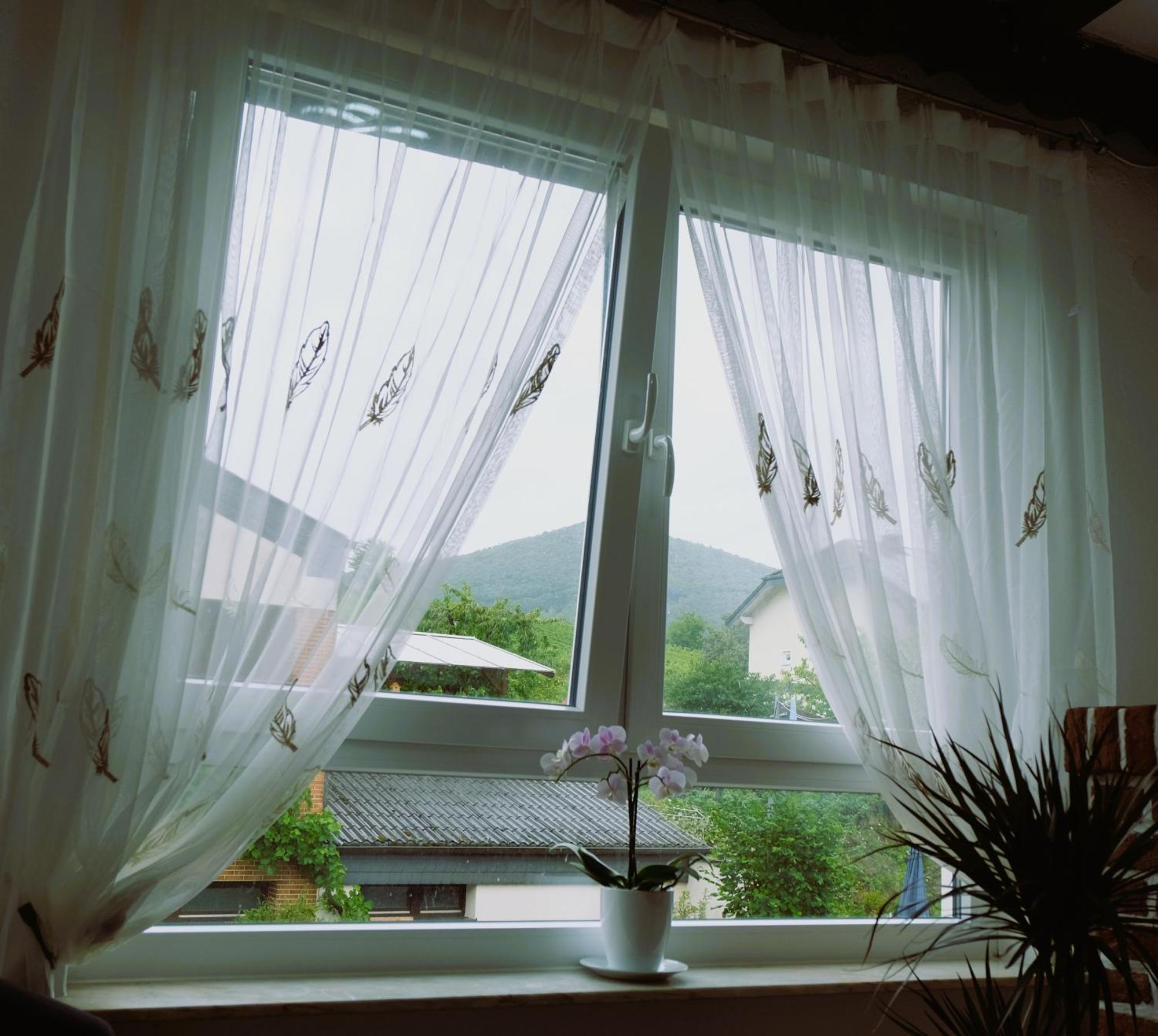 Apartment Blue Lagoon Nehren (Rhineland-Palatinate)